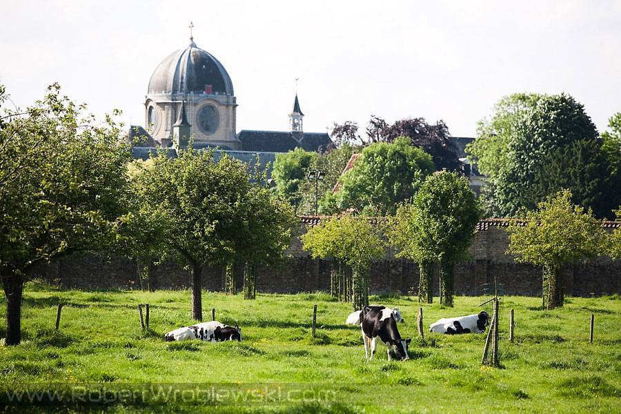 In Burges | Zdjęcia z Brugii