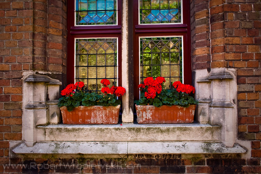 In Burges | Zdjęcia z Brugii